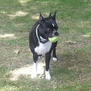 Meet your Posher, Sherry